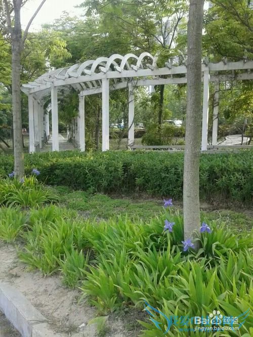 睢县有什么好玩的地方