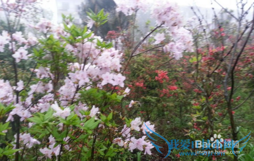 苏马荡旅游攻略