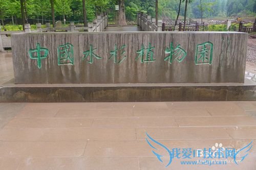 苏马荡旅游攻略