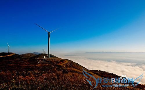 苏马荡旅游攻略