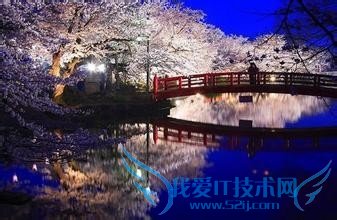 去韩国旅游应该买些什么?