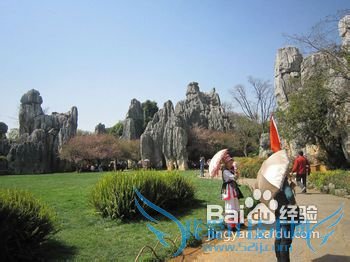 走什么路线云南旅游价格最优惠