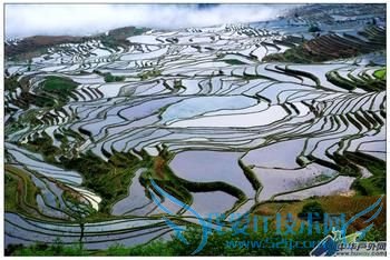 走什么路线云南旅游价格最优惠