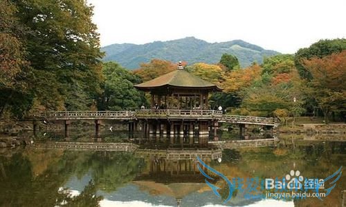 国外旅游路线推荐