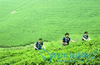 上海到常州溧阳天目湖自驾旅游攻略