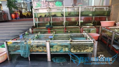 厦门鼓浪屿旅游攻略