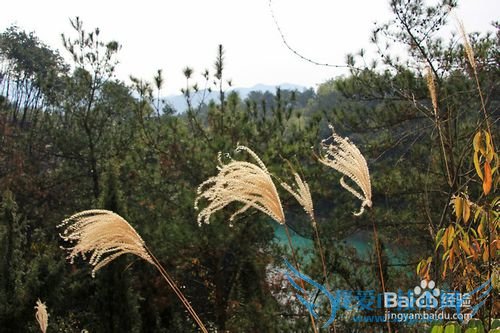 绍兴王坛镇双溪江旅游攻略