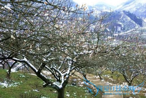 绍兴王坛镇双溪江旅游攻略