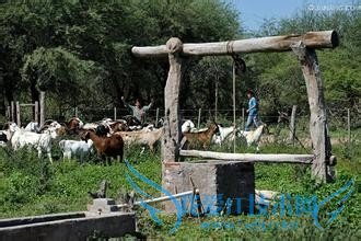 圣地亚哥有哪些特色的节日活动旅游景点