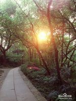 杭州-旅游攻略不花钱都能玩遍