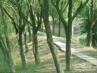 杭州-旅游攻略不花钱都能玩遍