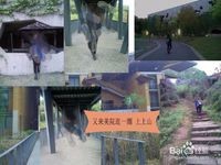 杭州-旅游攻略不花钱都能玩遍