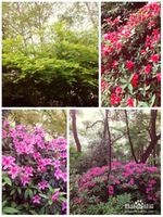 杭州-旅游攻略不花钱都能玩遍