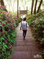 杭州-旅游攻略不花钱都能玩遍