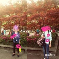 杭州-旅游攻略不花钱都能玩遍