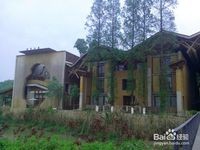 杭州-旅游攻略不花钱都能玩遍