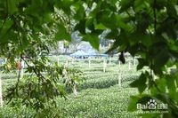 杭州-旅游攻略不花钱都能玩遍