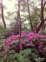 杭州-旅游攻略不花钱都能玩遍