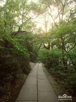 杭州-旅游攻略不花钱都能玩遍