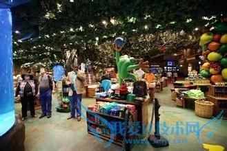 ��˹ά��˹���ζ�����Щ��ɫ��ʳ