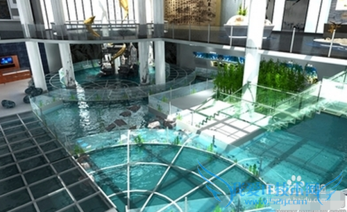 ̩�����ι���֮�һ���