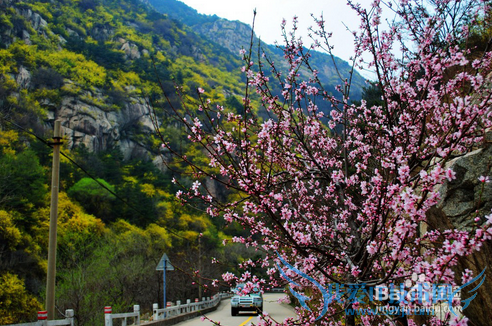 ̩�����ι���֮�һ���