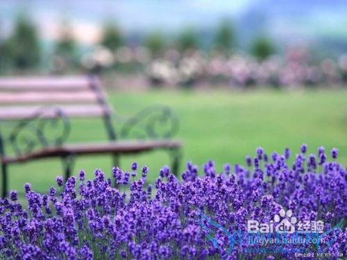 北京到欧洲旅游小结: