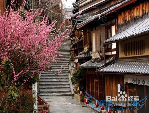 日本旅游攻略:必去的7个地方