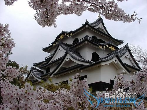 日本旅游攻略:必去的7个地方