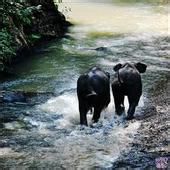 去云南旅游要多少钱?云南有什么好玩的地方