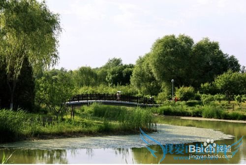 北京春天周末去那里游玩?