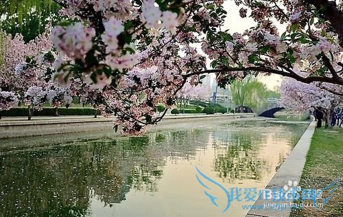 北京春天周末去那里游玩?