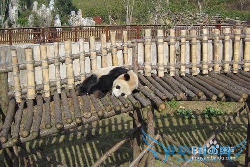 长沙有那些好玩的地方