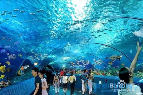 长沙有那些好玩的地方