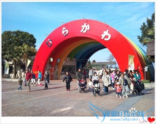 去哪儿看樱花/如何赏花/几月份去