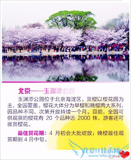 去哪儿看樱花/如何赏花/几月份去