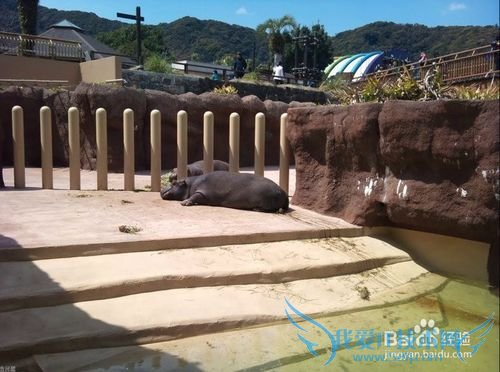 去哪儿看樱花/如何赏花/几月份去