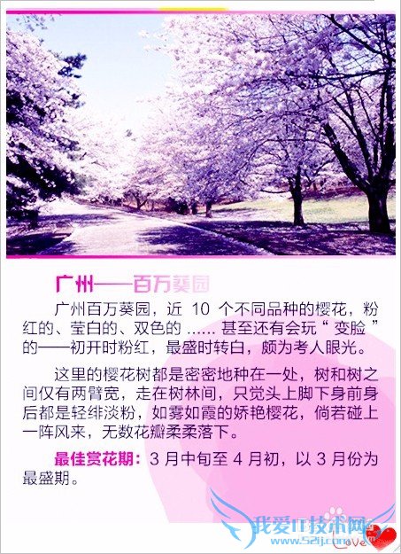 去哪儿看樱花/如何赏花/几月份去