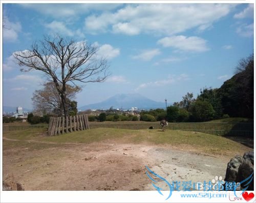 去哪儿看樱花/如何赏花/几月份去