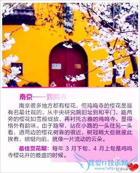 去哪儿看樱花/如何赏花/几月份去