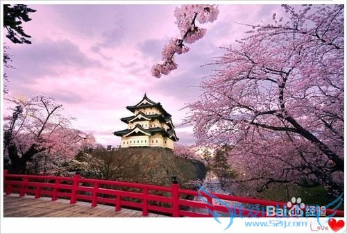 去哪儿看樱花/如何赏花/几月份去