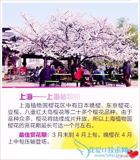 去哪儿看樱花/如何赏花/几月份去