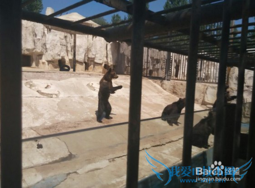 沈阳旅游小指南