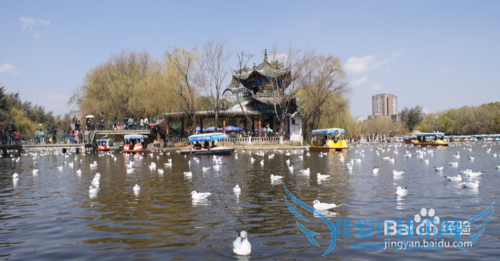 昆明旅游全攻略