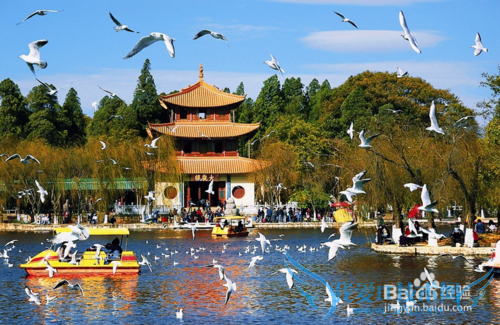 昆明旅游全攻略