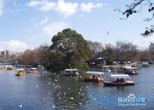 昆明旅游全攻略