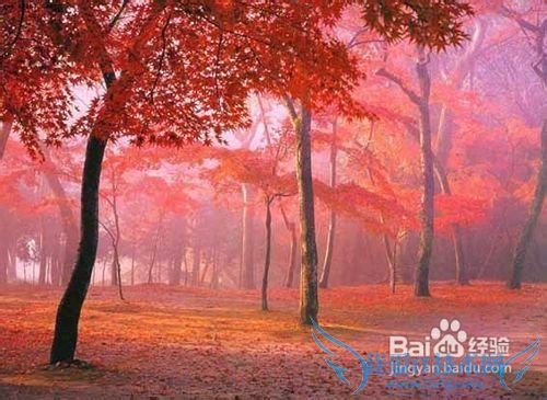 四川旅游线路攻略