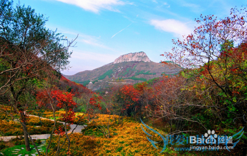 济南旅游必看风景