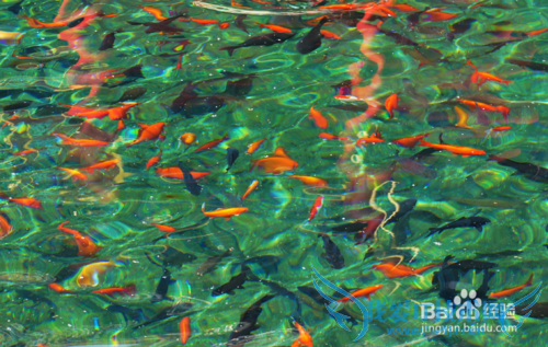 济南旅游必看风景