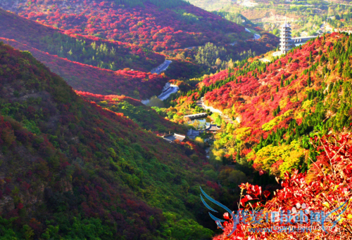 济南旅游必看风景